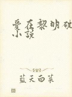 爱在黎明破晓前小说封面