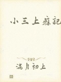 小三上瘾记
