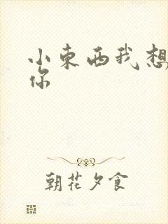 小东西我想弄坏你