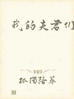 我的夫君们封面