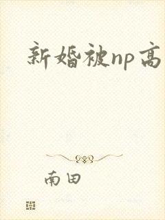 新婚被np高h