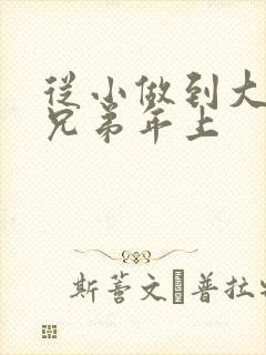 从小做到大骨科兄弟年上封面