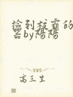 捡到校霸的遥控器by阳阳封面