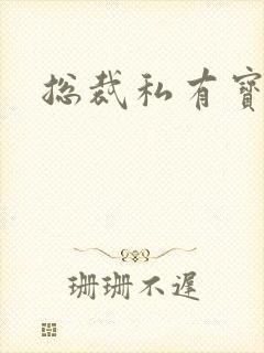总裁私有宝贝