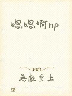 嗯嗯啊np