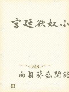 宫廷欲奴小说封面