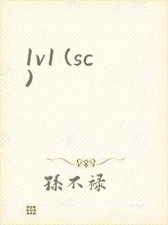 1v1 (sc)