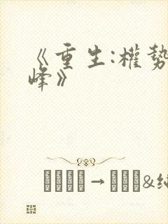 《重生:权势巅峰》