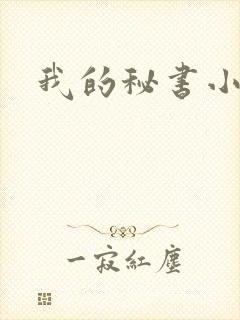 我的秘书小姐