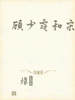 顾少霆和宋斯曼
