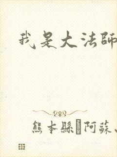我是大法师封面