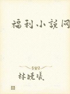 福利小说网