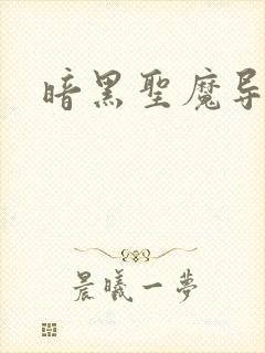 暗黑圣魔导