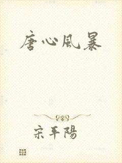 唐心风暴