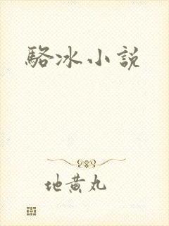 骆冰小说