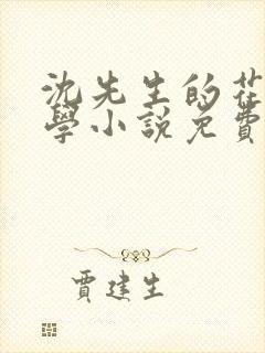 沈先生的花式教学小说免费封面