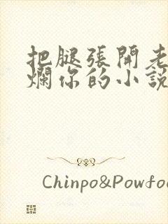 把腿张开老子臊烂你的小说