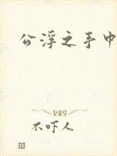 公浮之手中字5