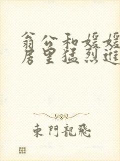翁公和媛媛在厨房里猛烈进出