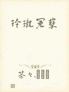 玲珑冤孽