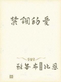 禁锢的爱封面