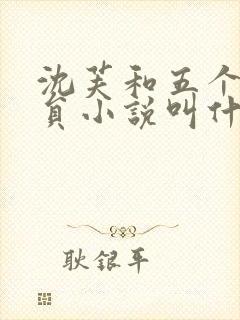 沈芙和五个消防员小说叫什么封面