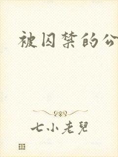 被囚禁的公主封面