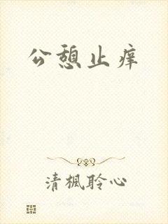 公憩止痒封面