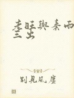老旺与秦雨三进三出封面