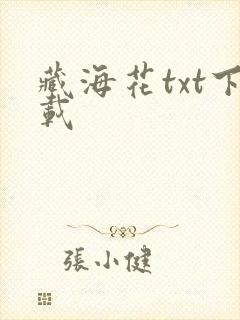 藏海花txt下载