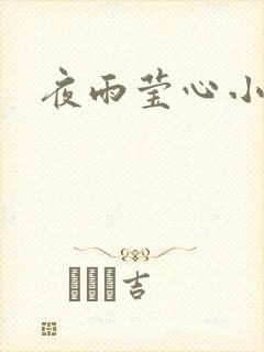 夜雨莹心小说
