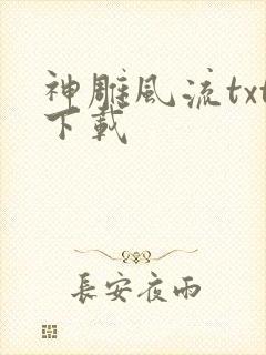 神雕风流txt下载