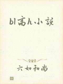 bl高h小说