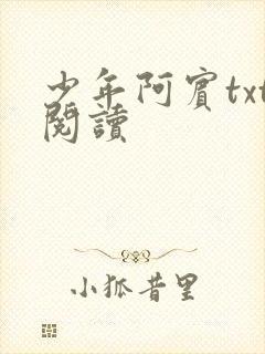 少年阿宾txt阅读