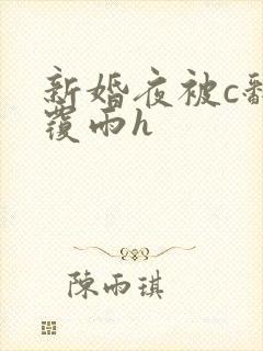 新婚夜被c翻云覆雨h封面
