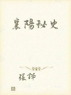 襄阳秘史封面