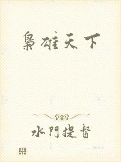 枭雄天下