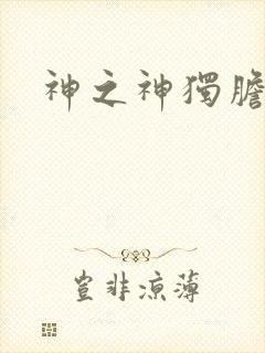 神之神独胆王封面