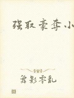 强取豪夺小说