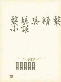 系统集精系统 小说