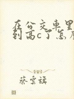 在公交车里c弄到高c了怎么办封面