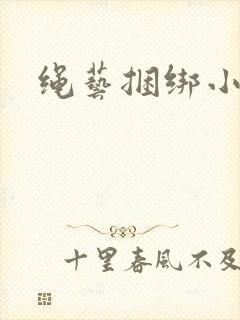 绳艺捆绑小说