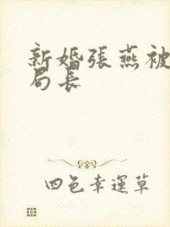 新婚张燕被两个局长