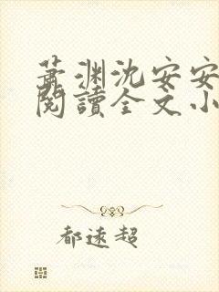 萧渊沈安安免费阅读全文小说封面