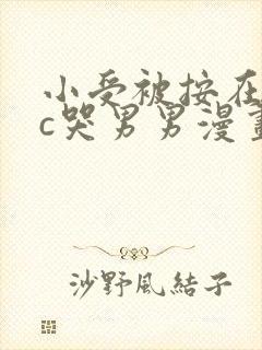 小受被按在墙上c哭男男漫画