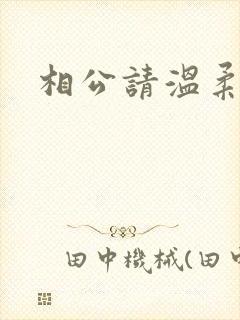 相公请温柔一点封面