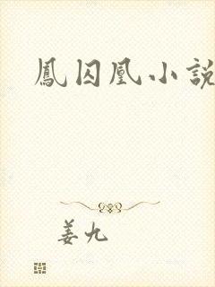 凤囚凰小说