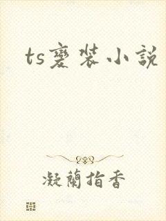 ts变装小说