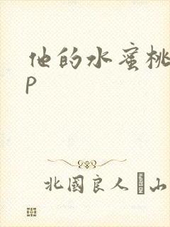 他的水蜜桃pop