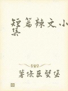 短篇辣文小说合集
